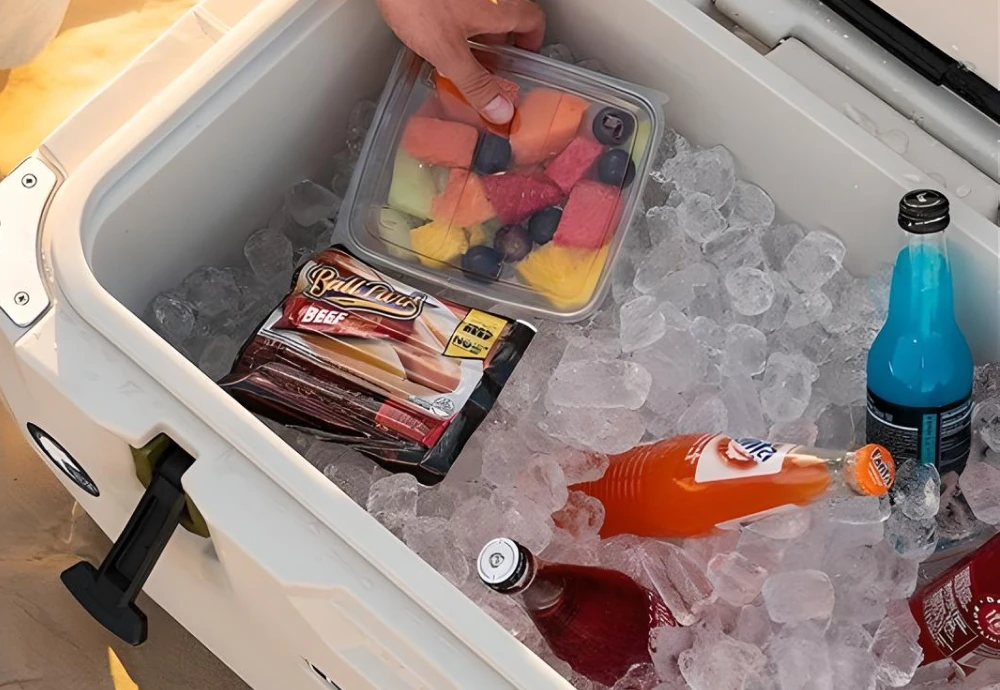 plastic picnic ice cooler box