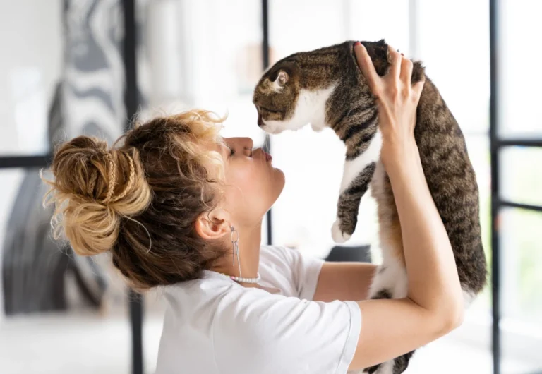 best indoor camera to watch pets