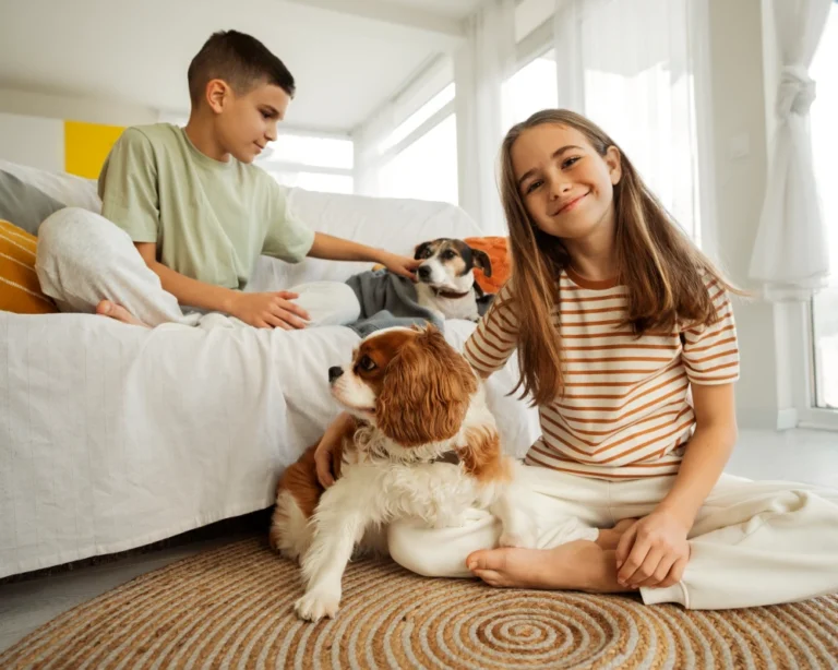 automatic pet feeder food dispenser