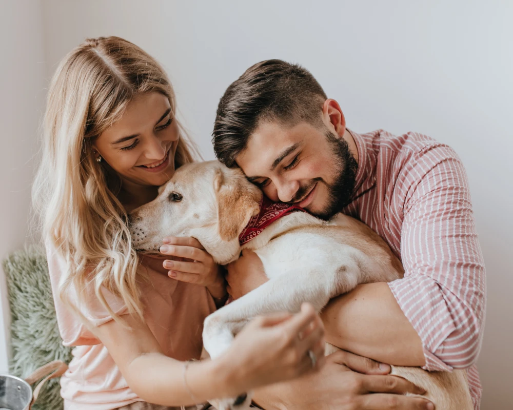 automatic pet food dispenser